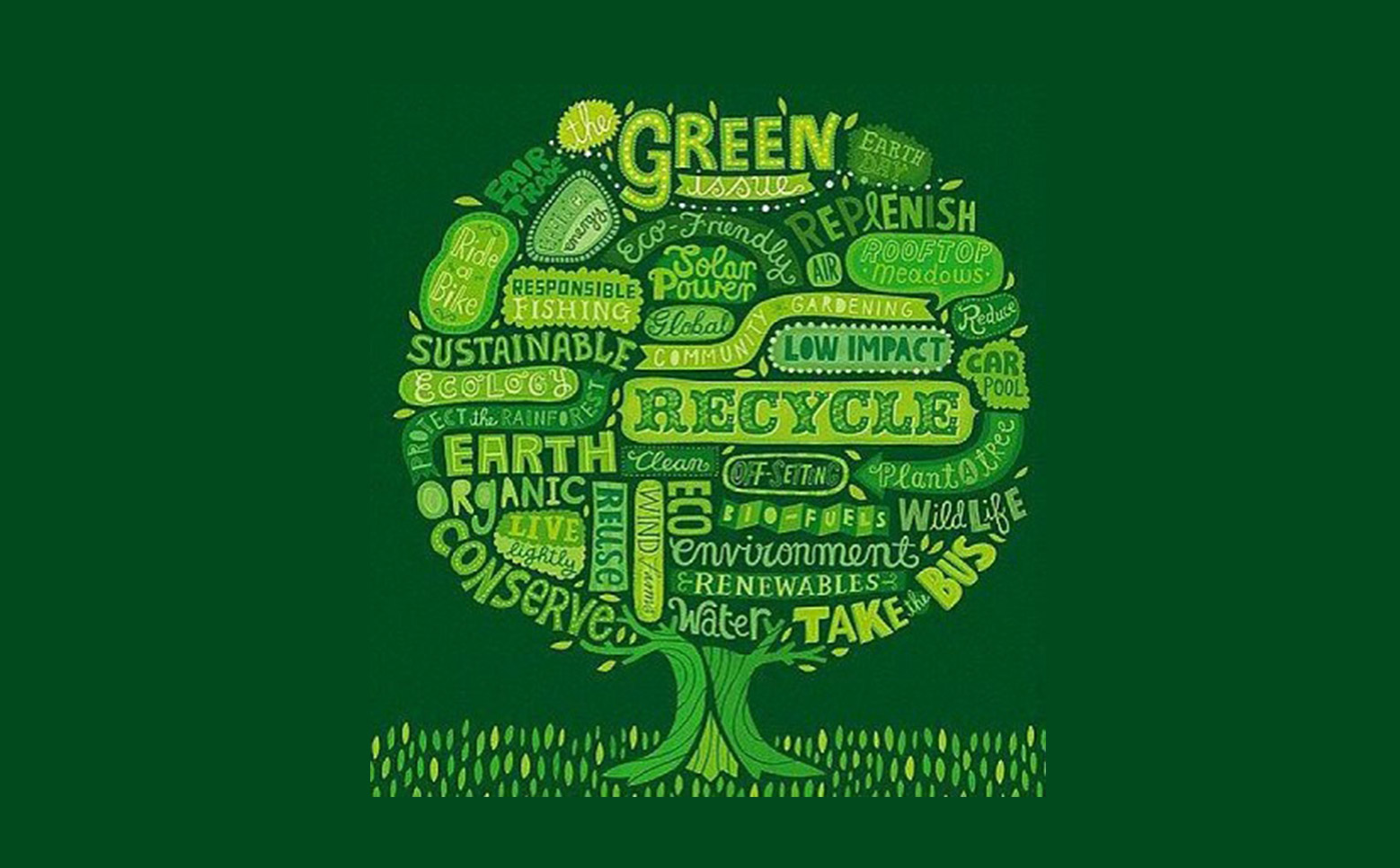 OACL sponsors World Environment Day clean-up project